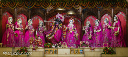 Daily Darshan