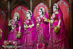 Daily Darshan