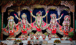 Daily Darshan