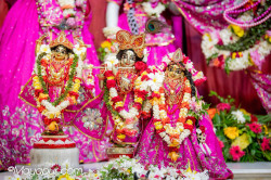 Daily Darshan