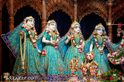 Daily Darshan