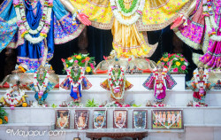 Daily Darshan