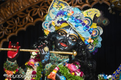 Daily Darshan