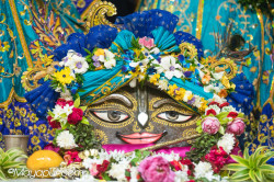 Daily Darshan