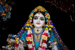 Daily Darshan