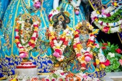 Daily Darshan