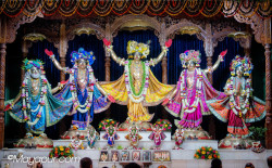 Daily Darshan