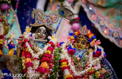 Daily Darshan