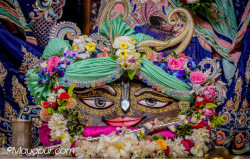 Daily Darshan