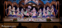 Daily Darshan