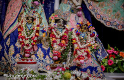 Daily Darshan