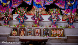 Daily Darshan