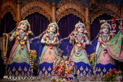 Daily Darshan