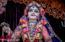 Daily Darshan