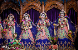 Daily Darshan