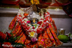 Daily Darshan