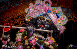 Daily Darshan