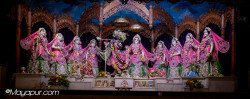 Daily Darshan