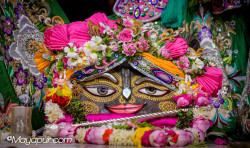 Daily Darshan