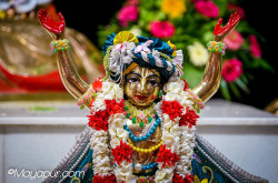 Daily Darshan