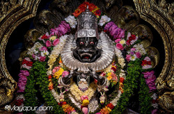 Daily Darshan