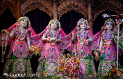 Daily Darshan