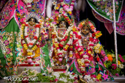 Daily Darshan