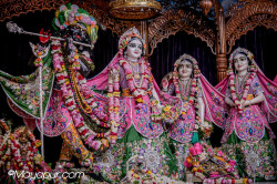 Daily Darshan