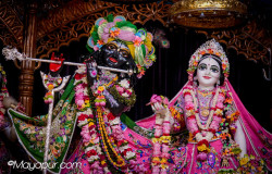 Daily Darshan