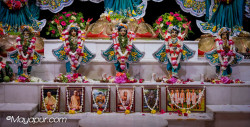 Daily Darshan