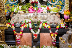 Daily Darshan