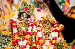 Daily Darshan
