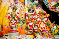 Daily Darshan