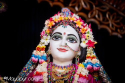 Daily Darshan