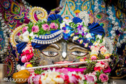 Daily Darshan