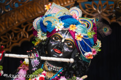 Daily Darshan