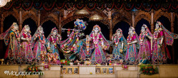 Daily Darshan