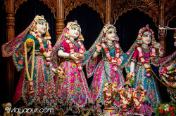 Daily Darshan