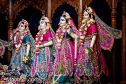 Daily Darshan
