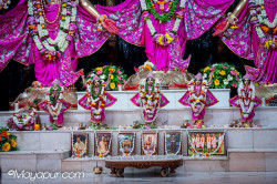 Daily Darshan
