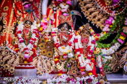 Daily Darshan