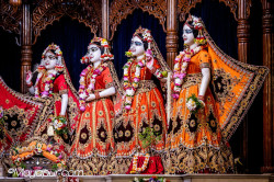 Daily Darshan