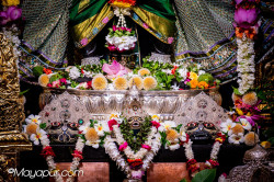 Daily Darshan