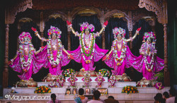 Daily Darshan