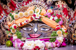Daily Darshan