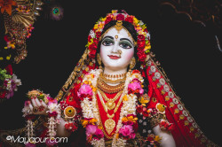 Daily Darshan