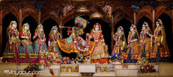 Daily Darshan