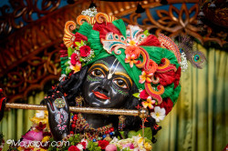 Daily Darshan