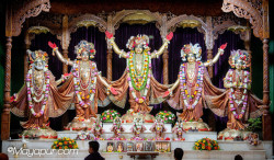Daily Darshan