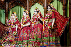 Daily Darshan